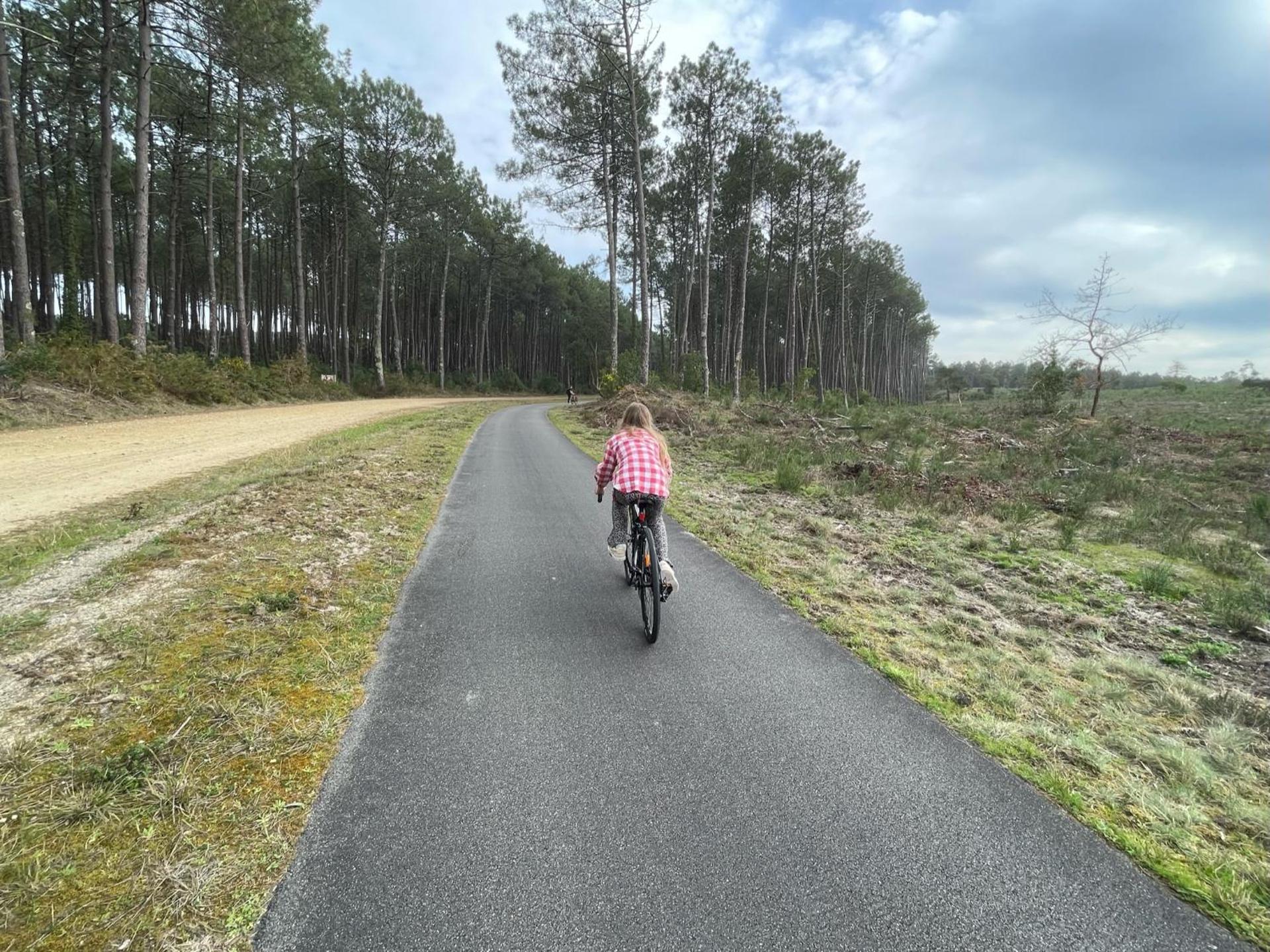 Aux bonheurs Landais