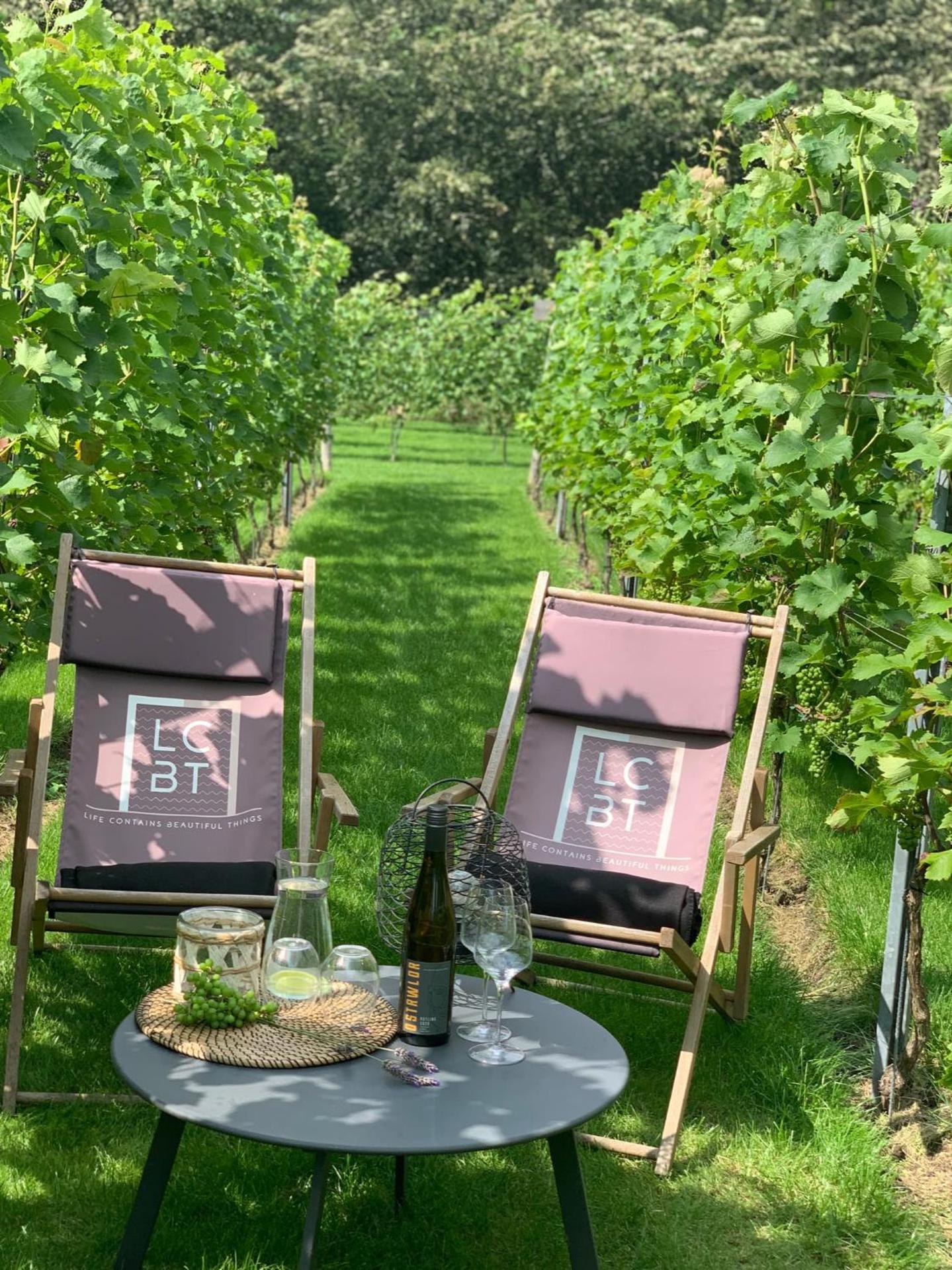 Life Contains Beautiful Things