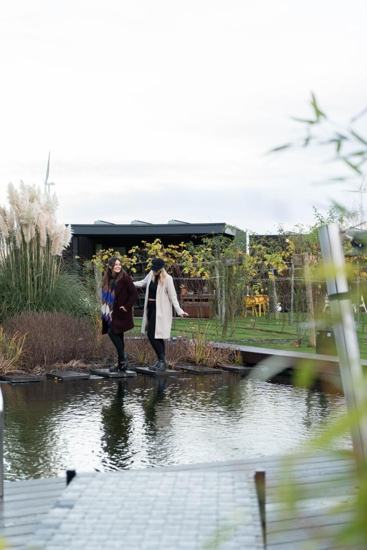 Life Contains Beautiful Things