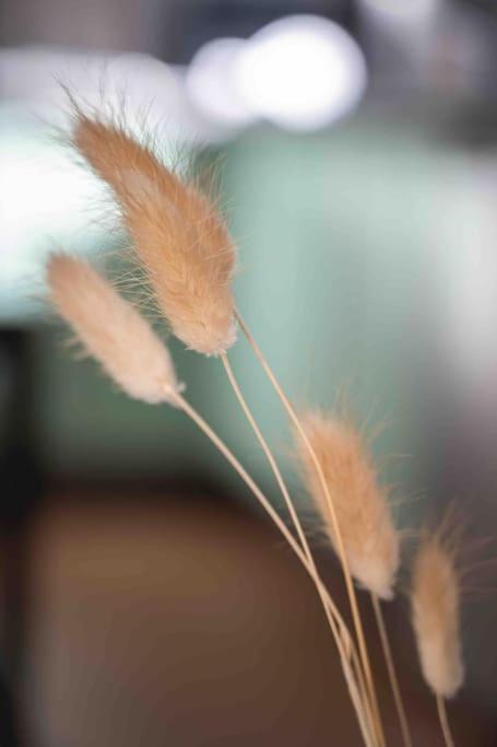 L’appart Lodge 106