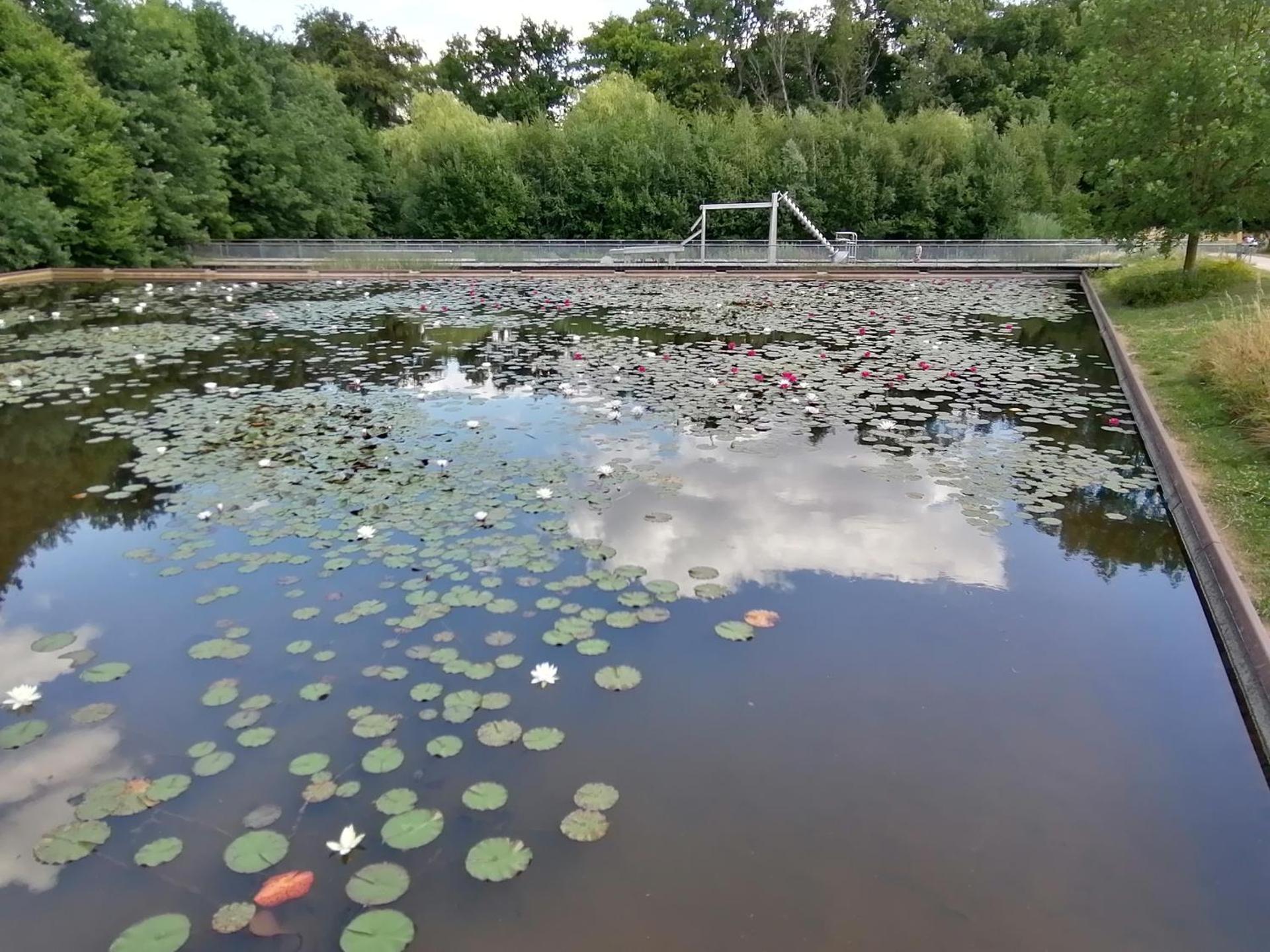 Ferienwohnung am Weserradweg Bad Oeynhausen