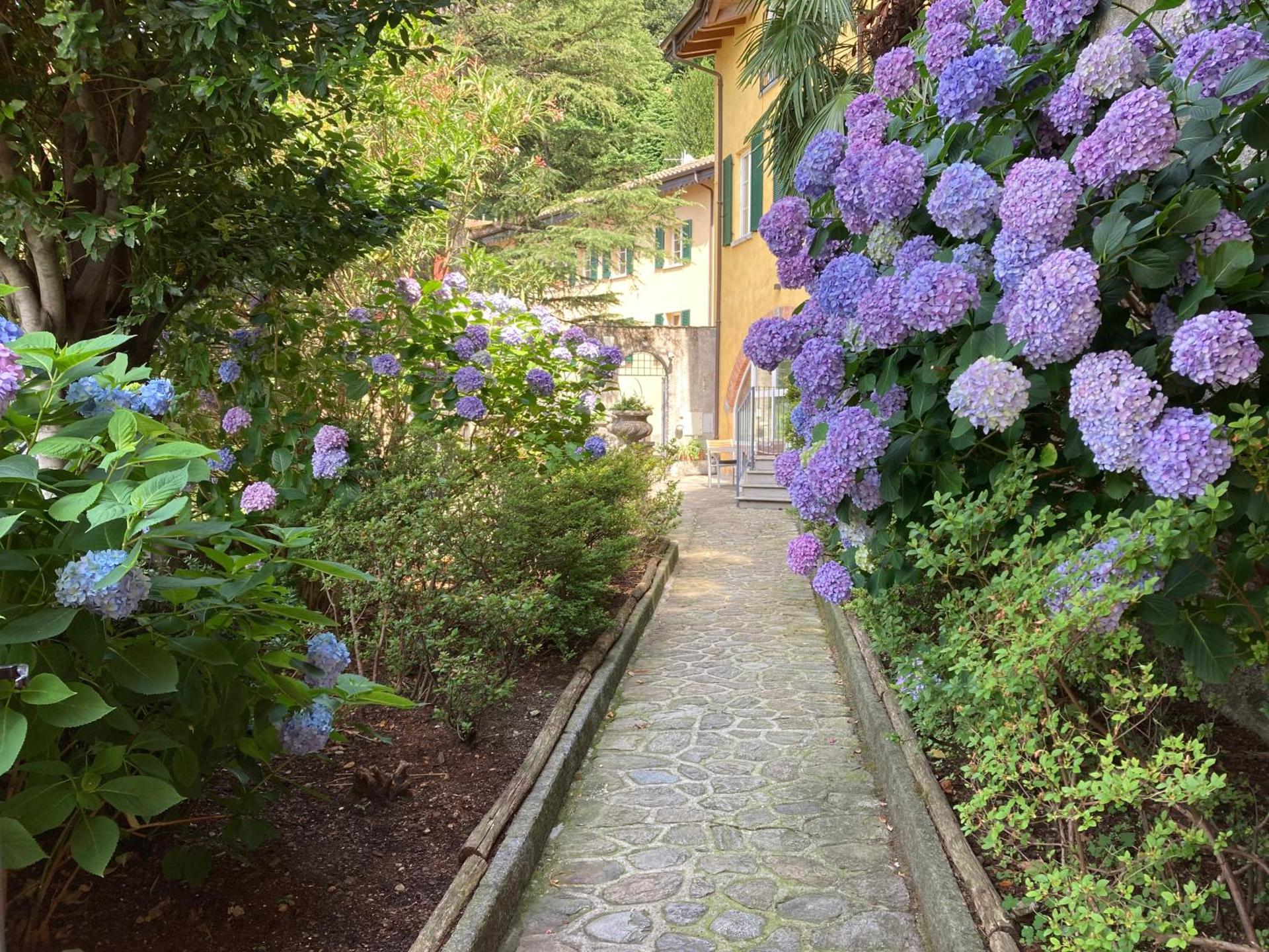 Rosa dei Venti - Lake view Apartments & Suites