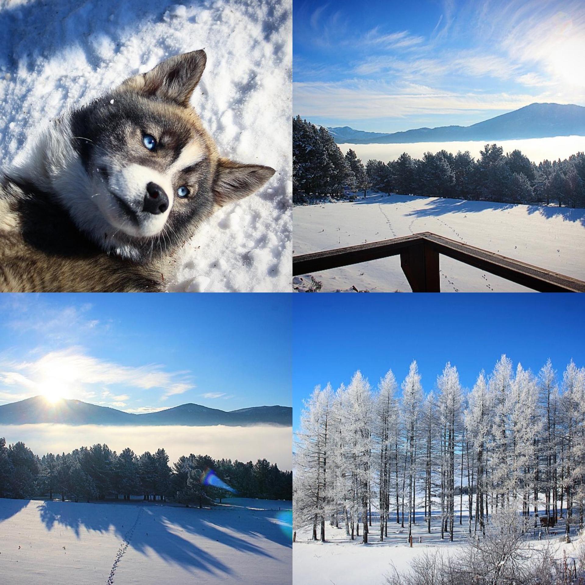 Gîte Ranch Le Serpolet