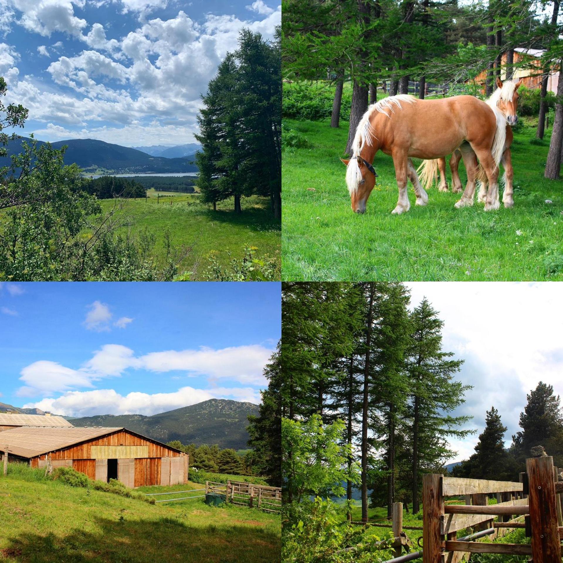 Gîte Ranch Le Serpolet