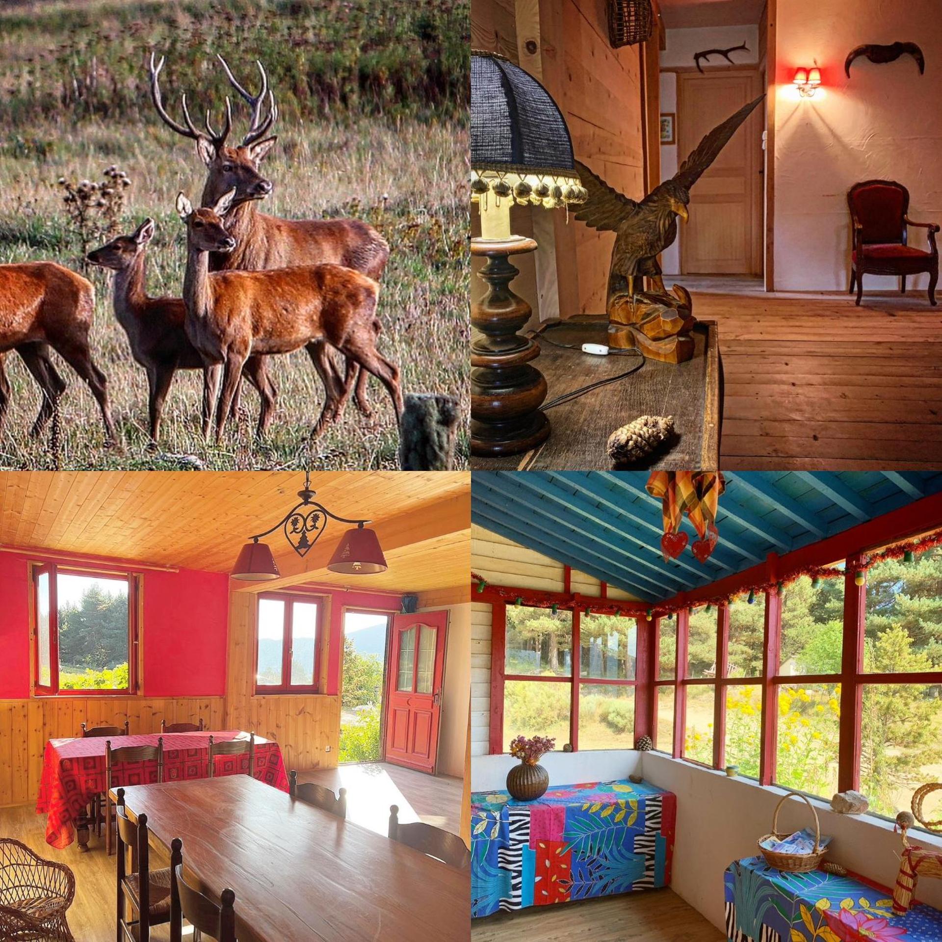 Gîte Ranch Le Serpolet