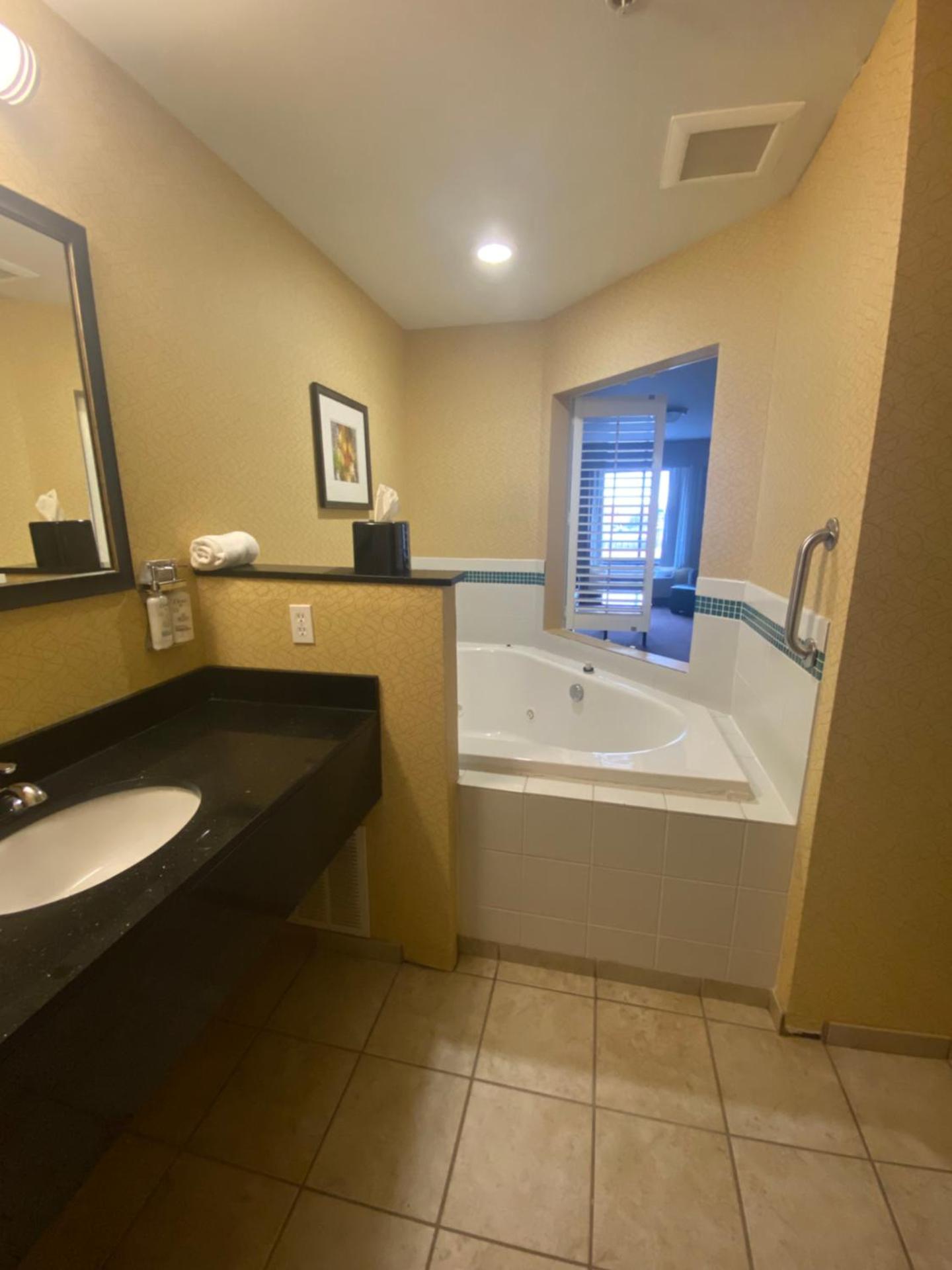 Holiday Inn Express and Suites Detroit North-Troy by IHG