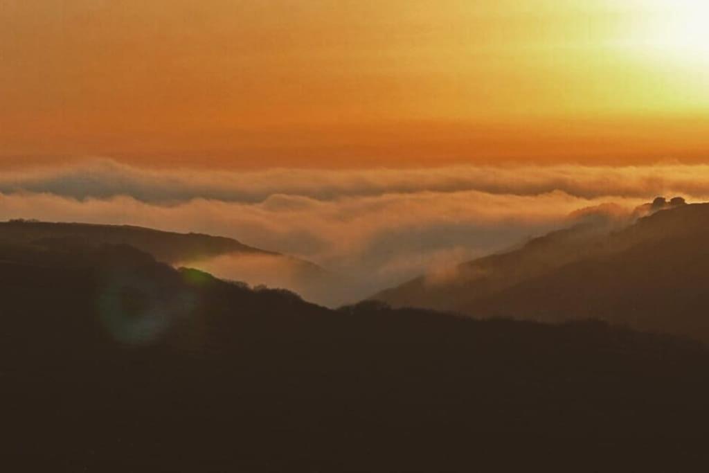Tiny House on isolated farm by the Cornish Coast