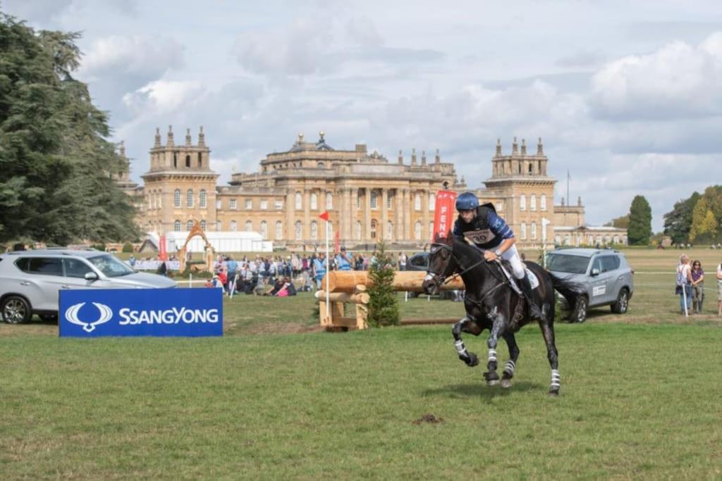 The Green Bus and the lodge