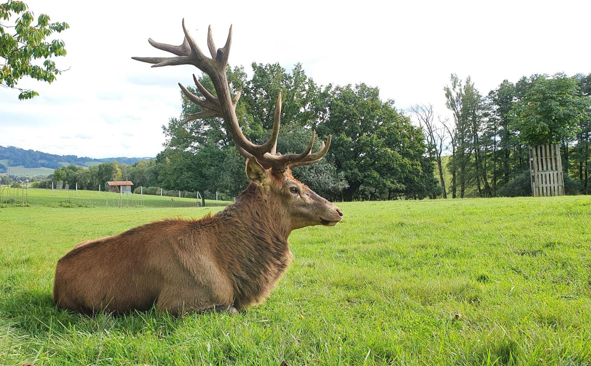 Bungalovy BLUDOVEČEK