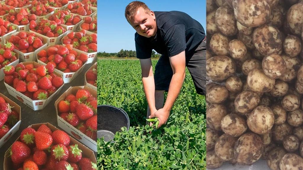 Luxury retreat with direct access to nature