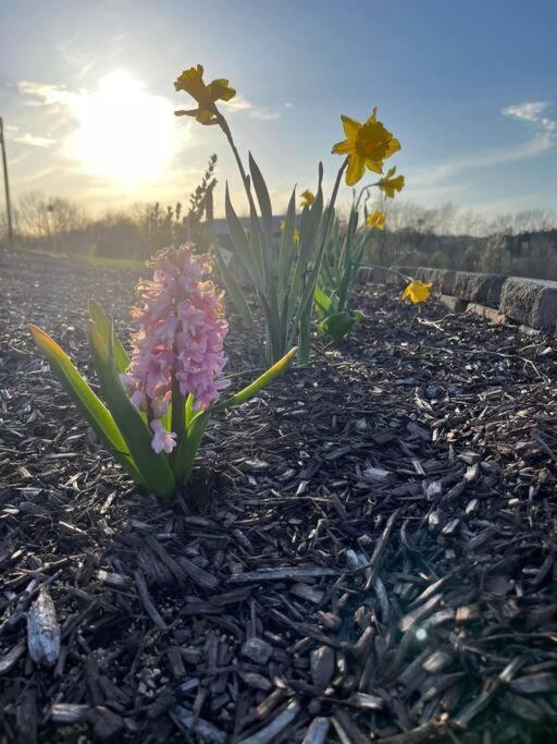 Bourbon Barrel Cottages #1 of 5 on Kentucky trail