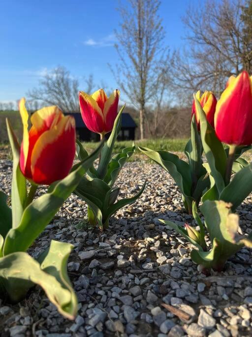 Bourbon Barrel Cottages #1 of 5 on Kentucky trail
