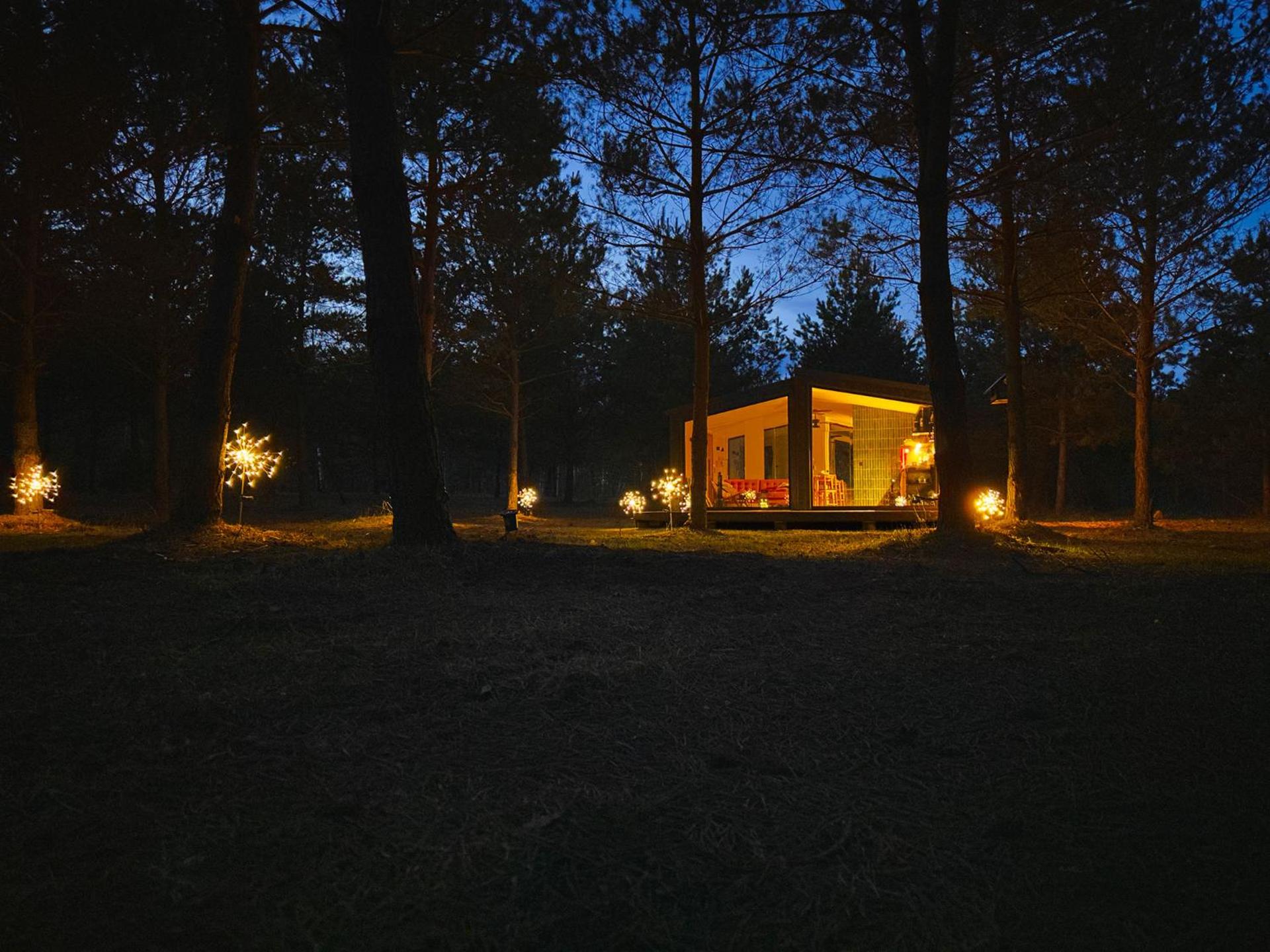 100 Drzew - Leśny Klimat Mazur