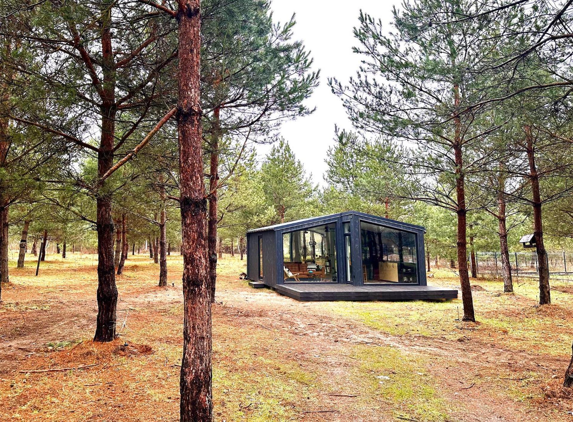 100 Drzew - Leśny Klimat Mazur