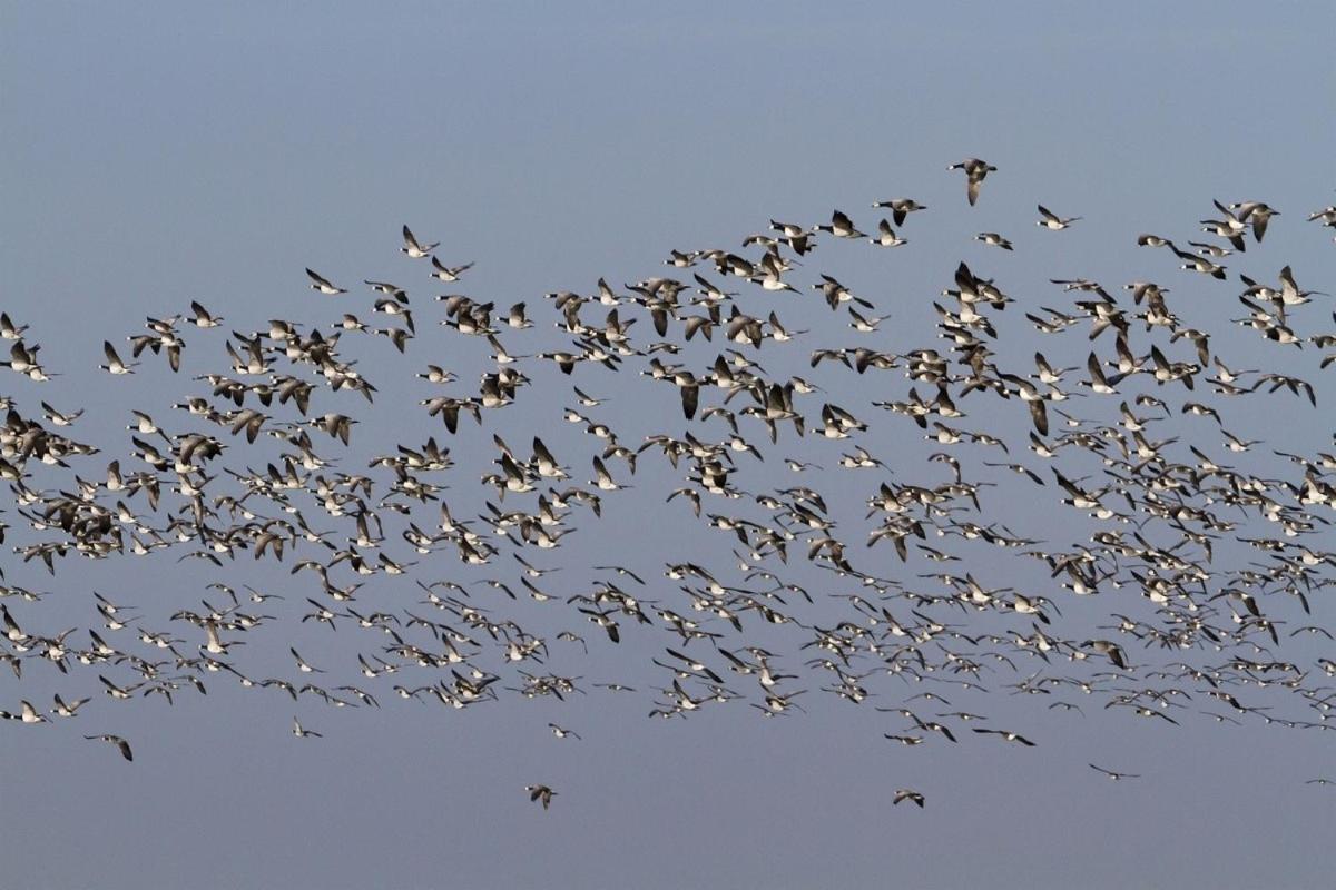 Luxury retreat with direct access to nature