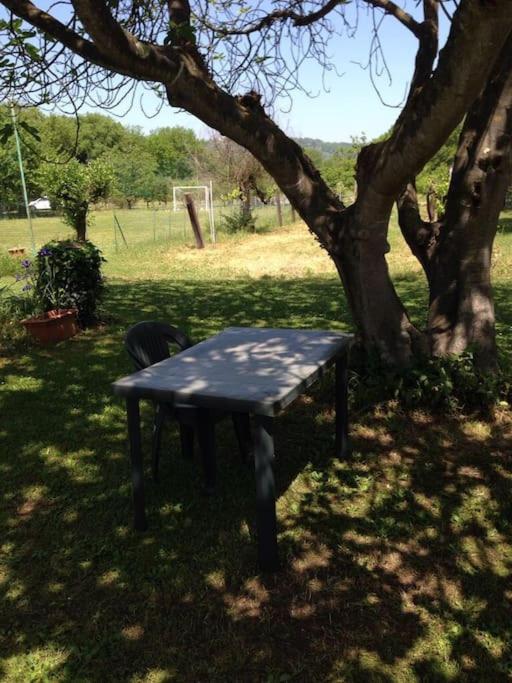 Chalet La Sequoia Orte