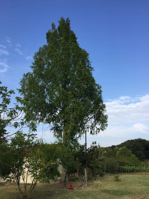 Chalet La Sequoia Orte