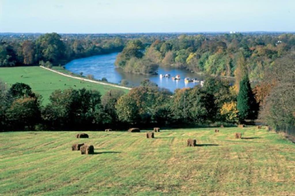 Stylish Studio Apartment, ensuite, kitchenette