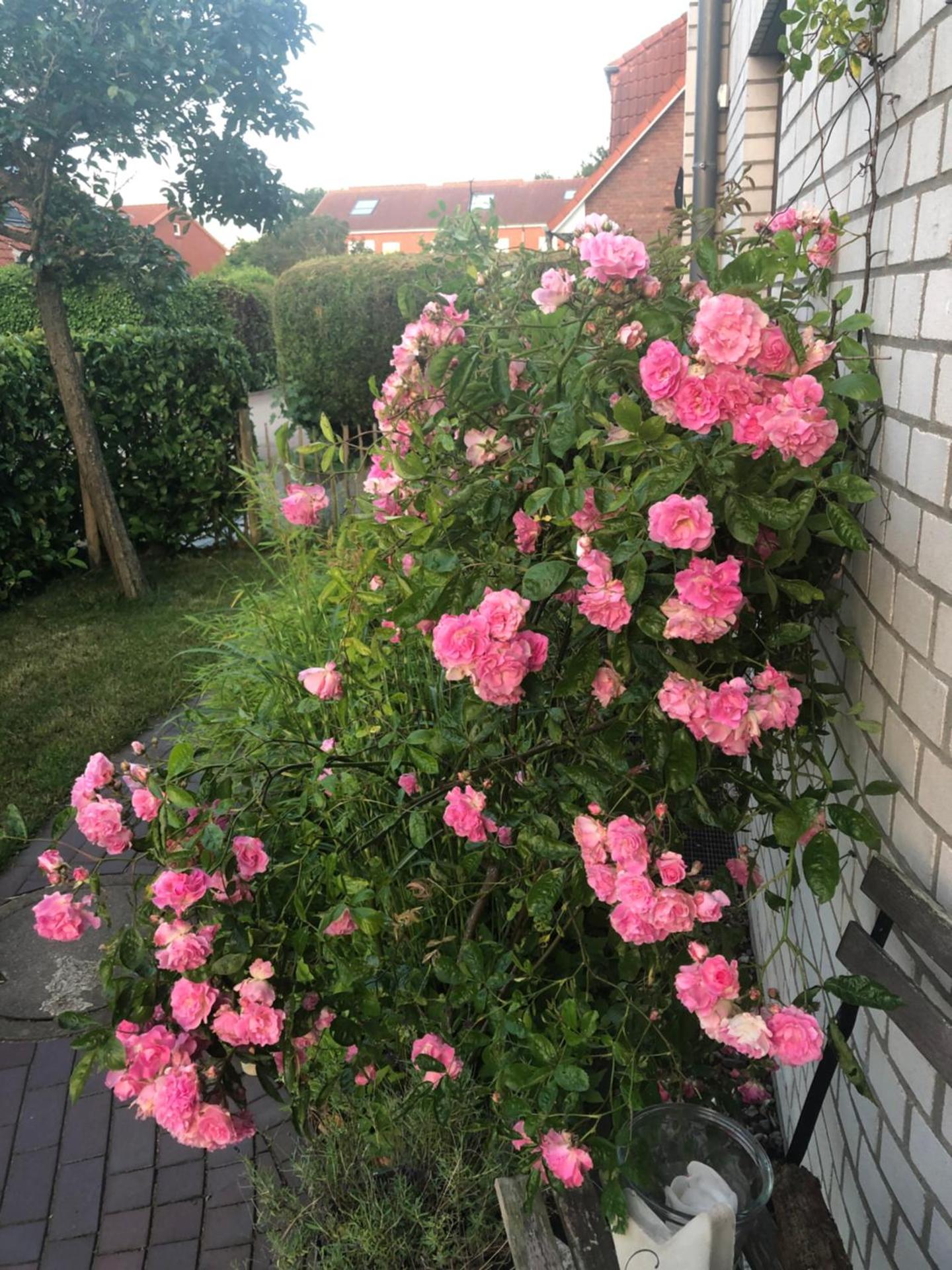 Moderne Ferienwohnung in Strandnähe