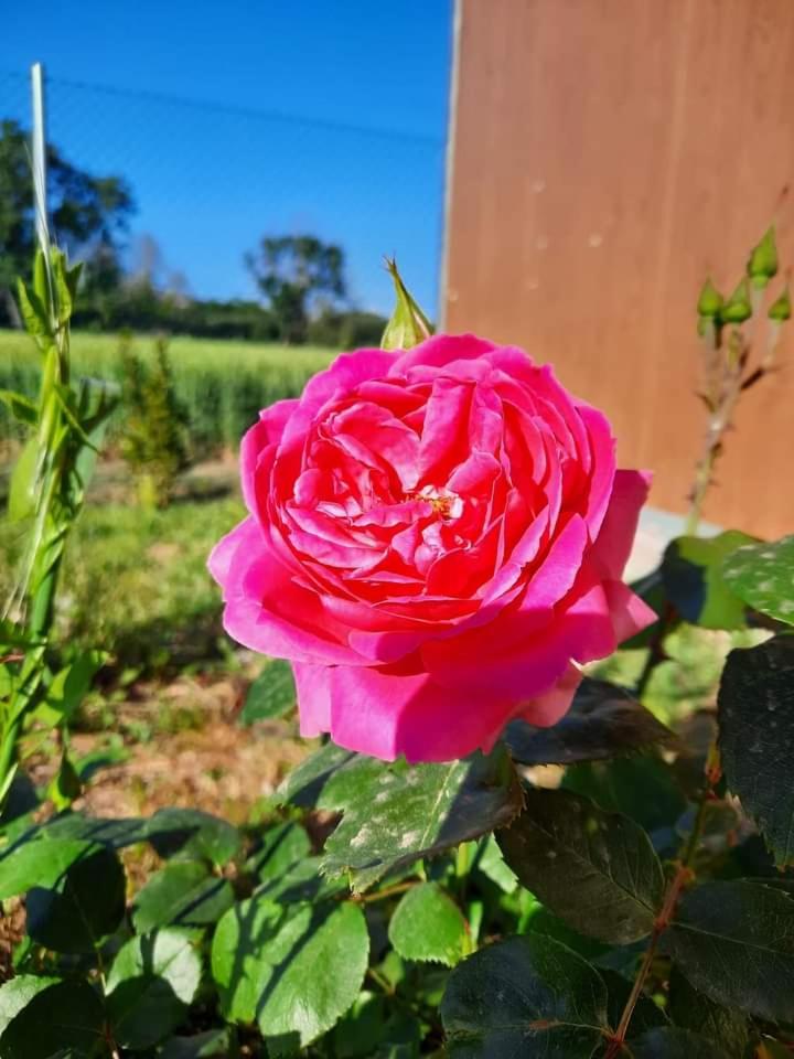 IL CUORE DEL CONERO - CASALE CON PISCINA, Natura e Relax