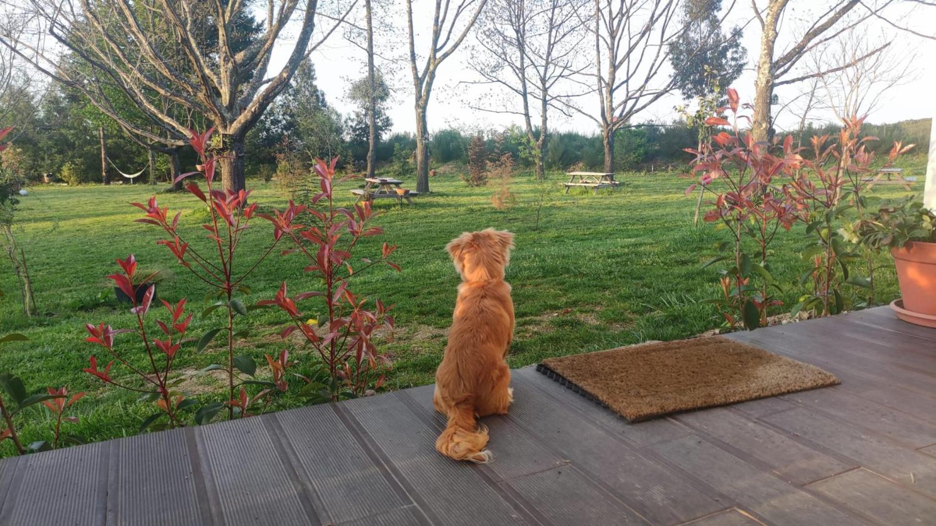 Quinta Chão da Bispa