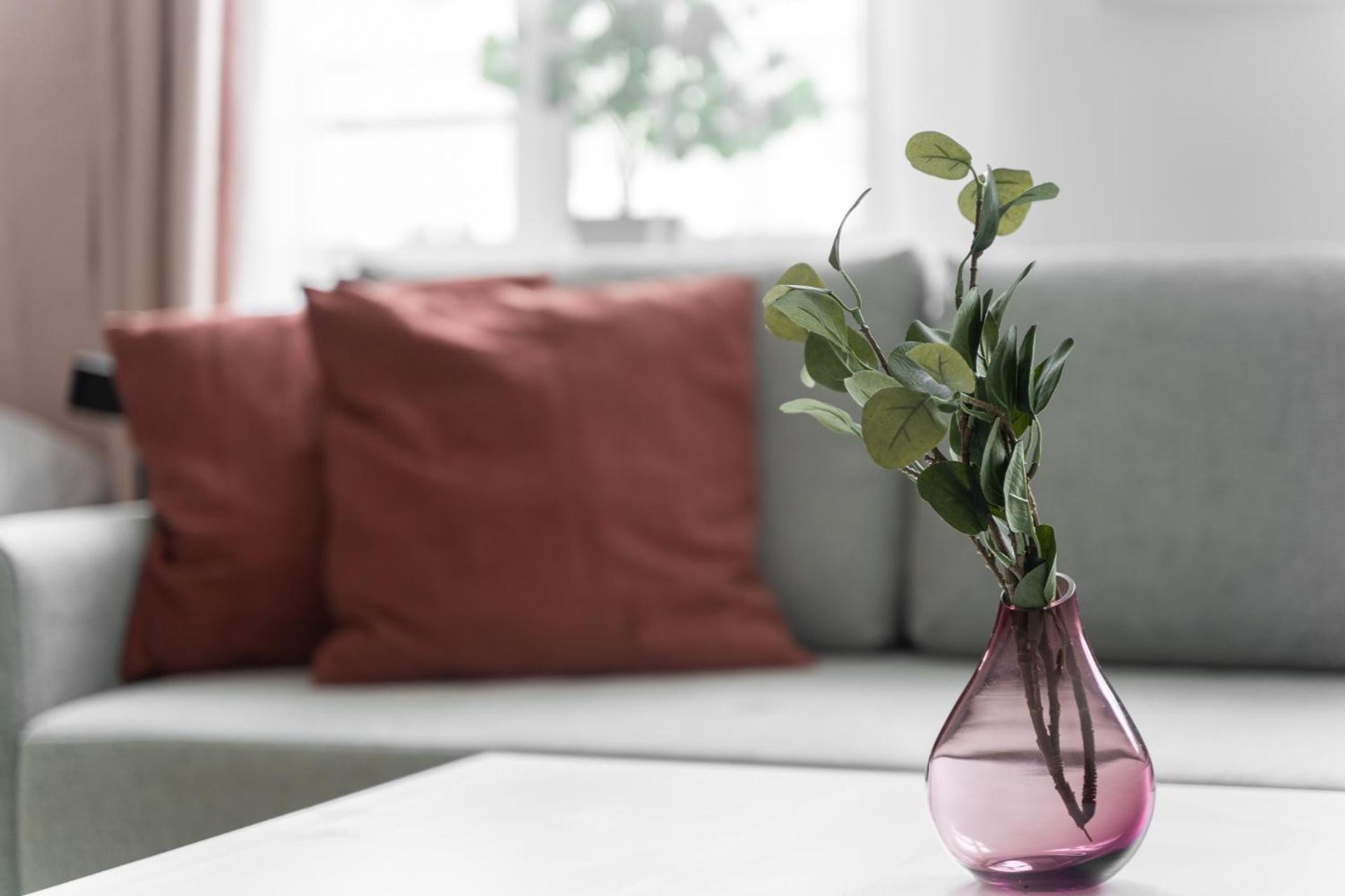 Kamienica Centrum Apartament nr 12