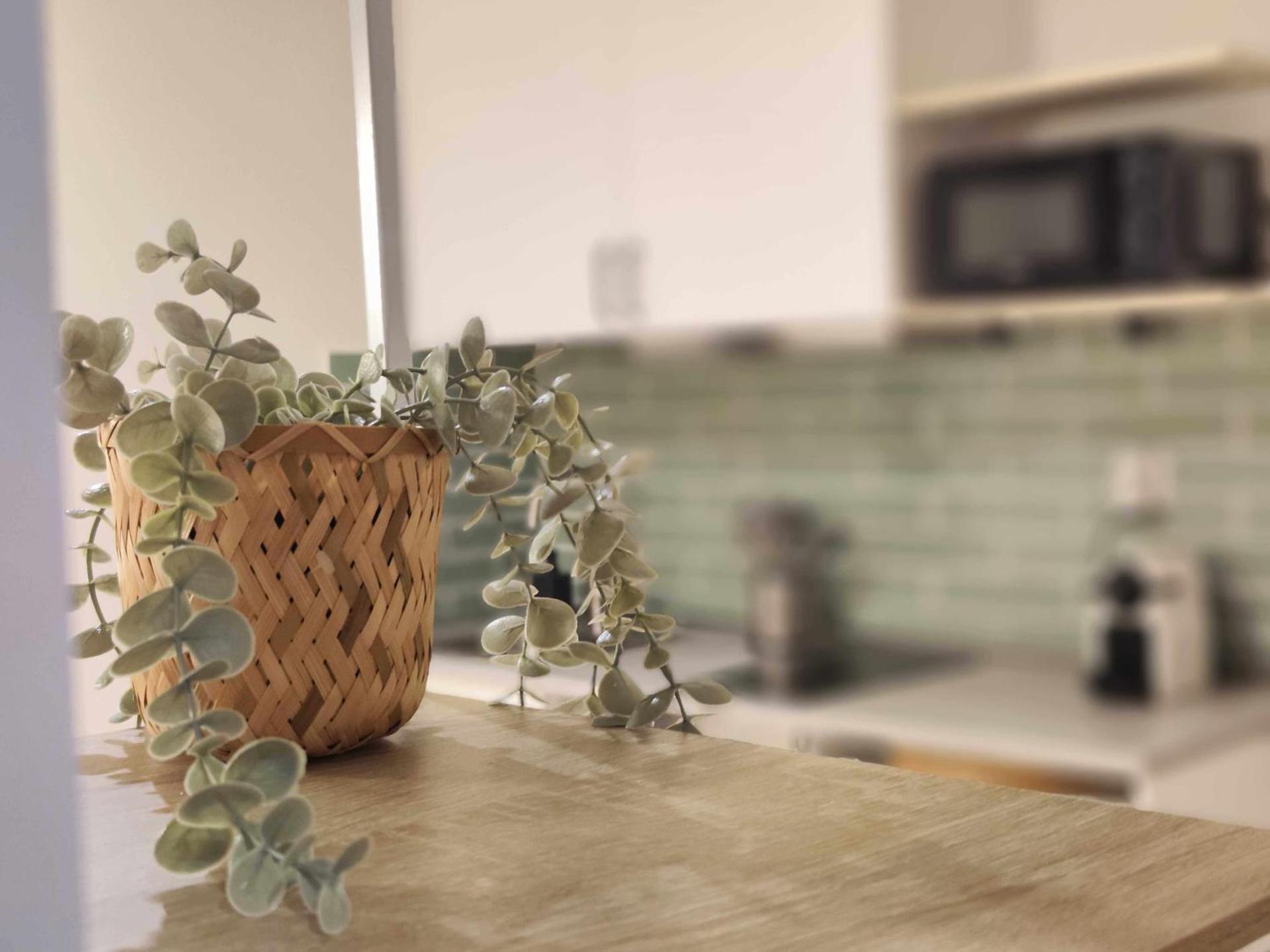 Mazi Apartments Havana