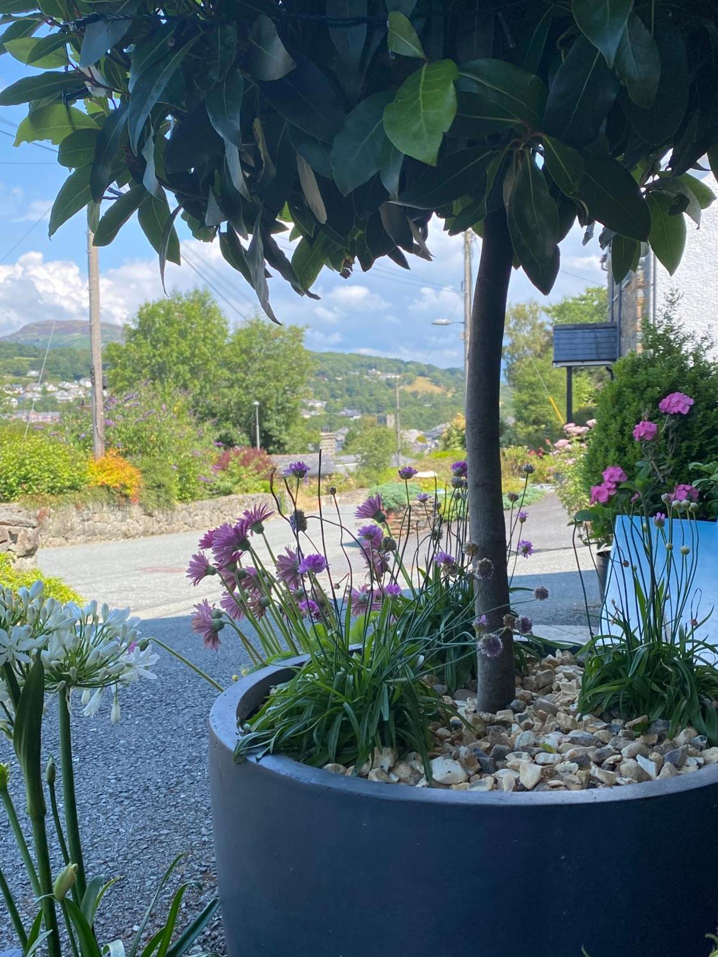 Snowdonia Snug - Studio Style Accommodation