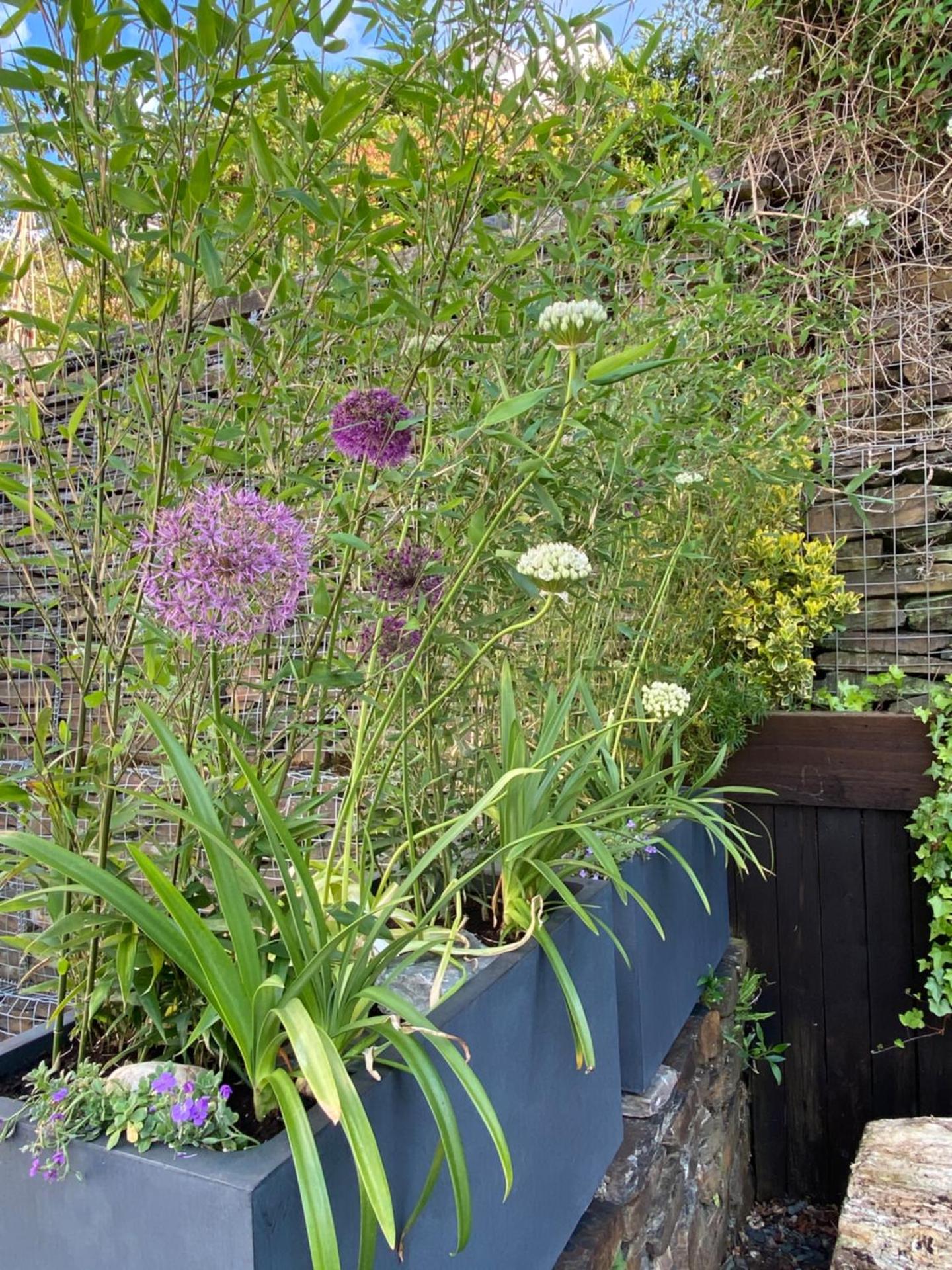 Snowdonia Snug - Studio Style Accommodation