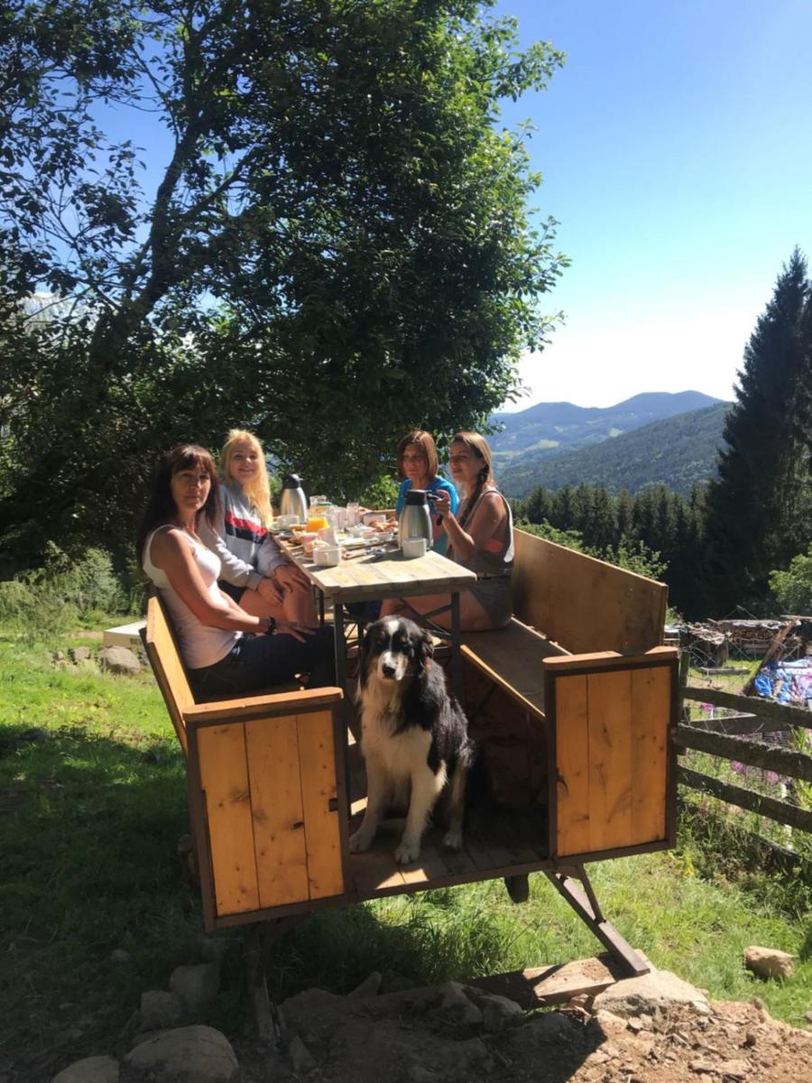 La Petite Finlande Chambre d'hôtes Carélie et Laponie