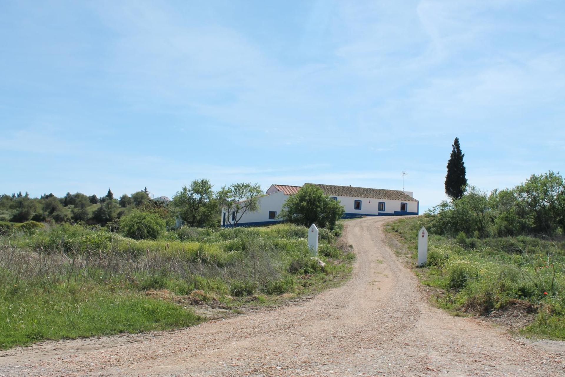 Vale do Boto-Quinta com 3 casas