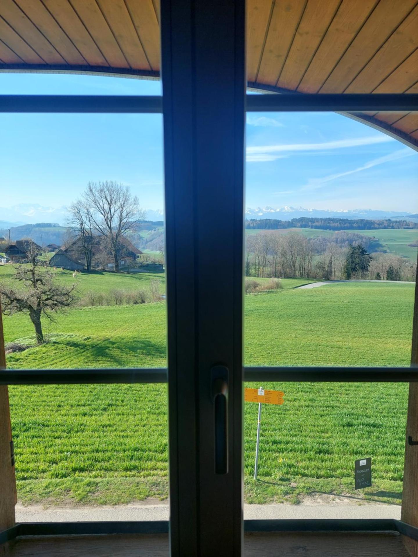 View (from property/room)