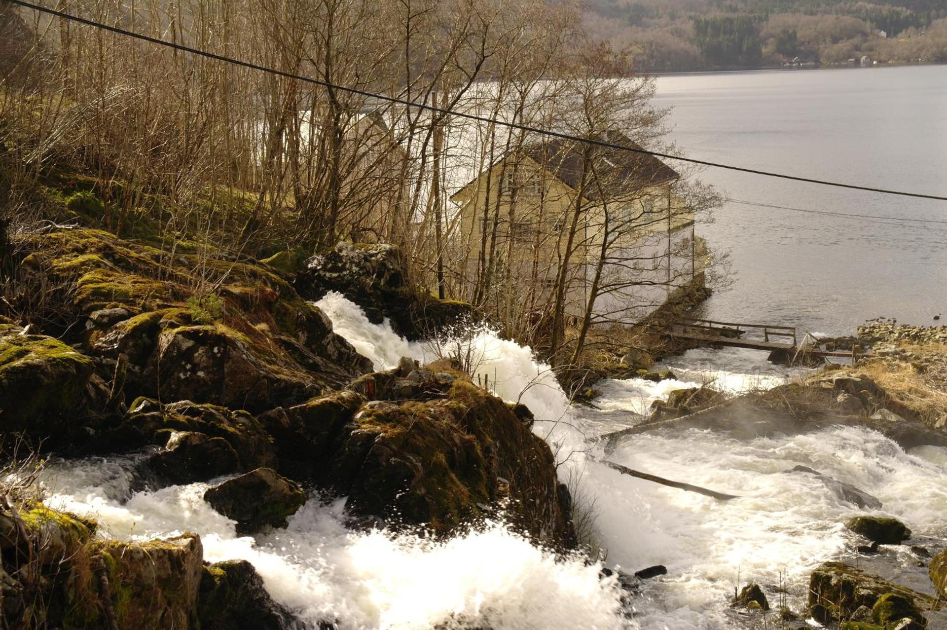 Tysnes Sjø og Fritid
