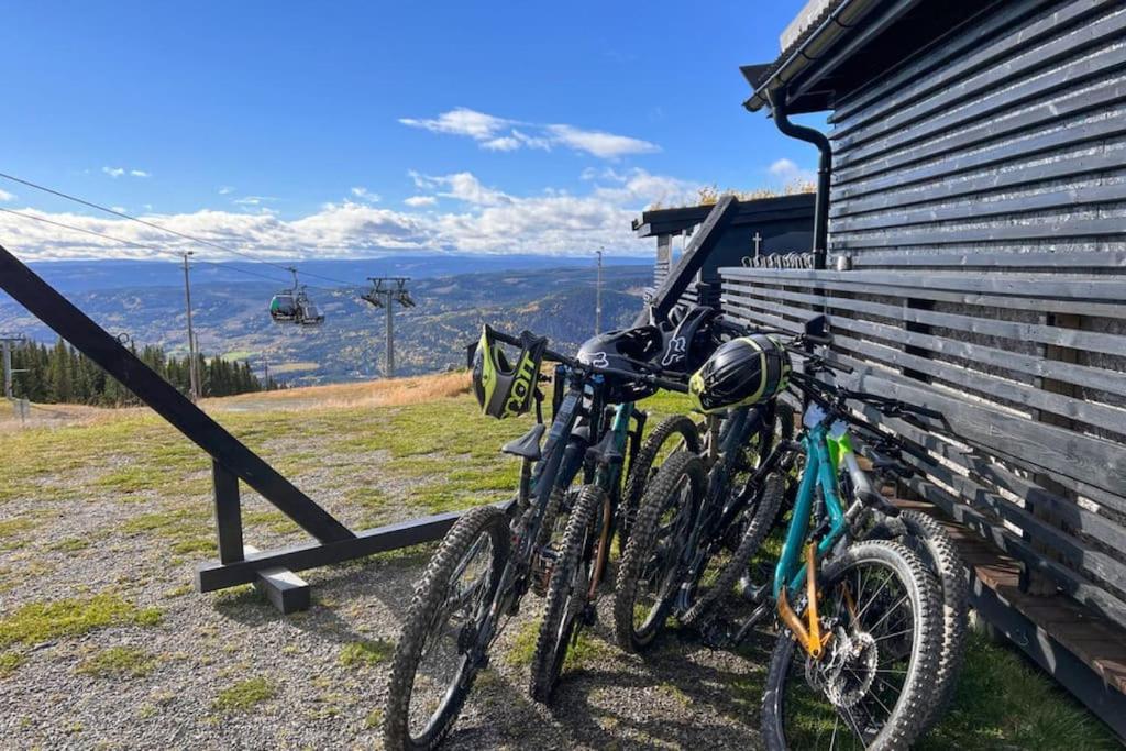 New ap The Nest in Hafjell ski in out and fast Wifi