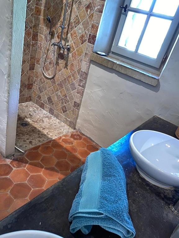 In Gordes, facing the entire Luberon Park a beautiful 5 bedrooms house