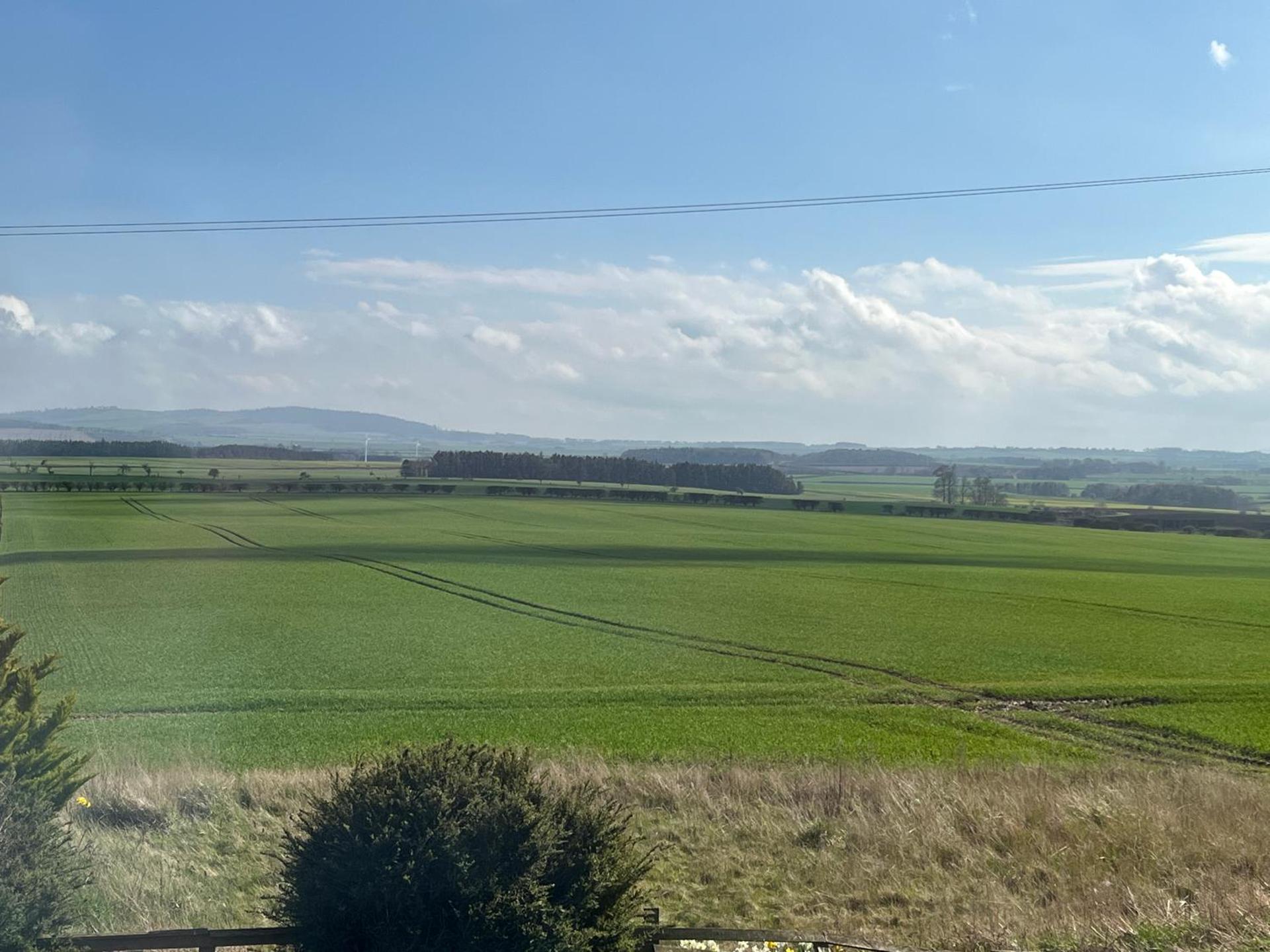 The Island View - A1