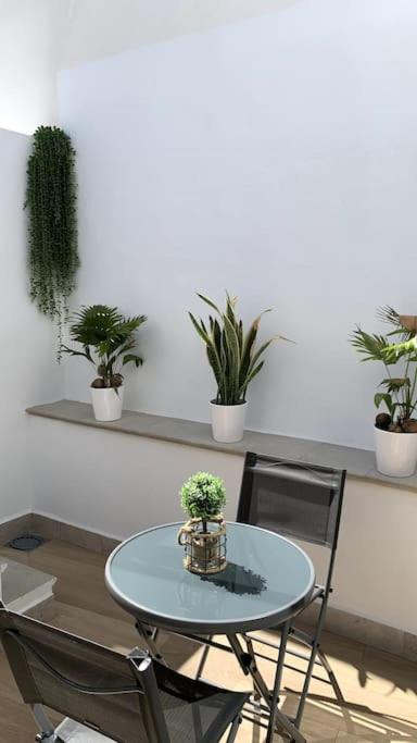 Soleada, amplia y renovada vivienda