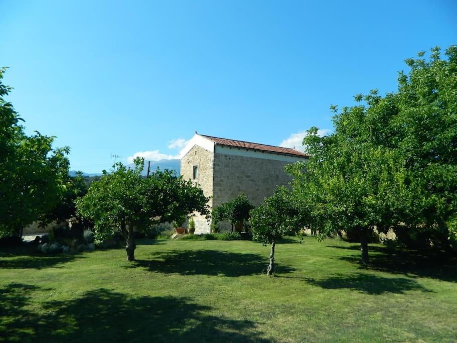Ancient Retreat with 2-Storey Tower Gym Garden