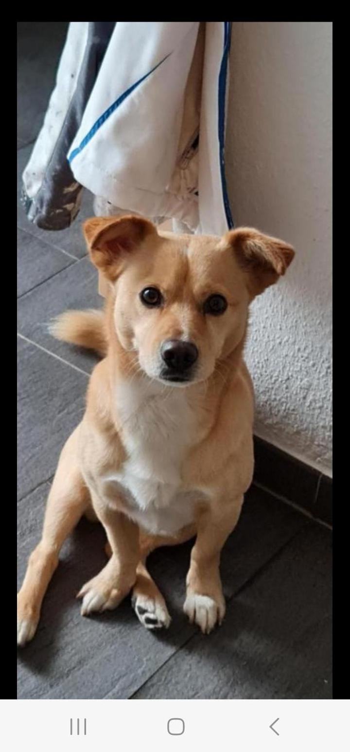 Gemütliches Gästezimmer an der Bergstraße Hessen