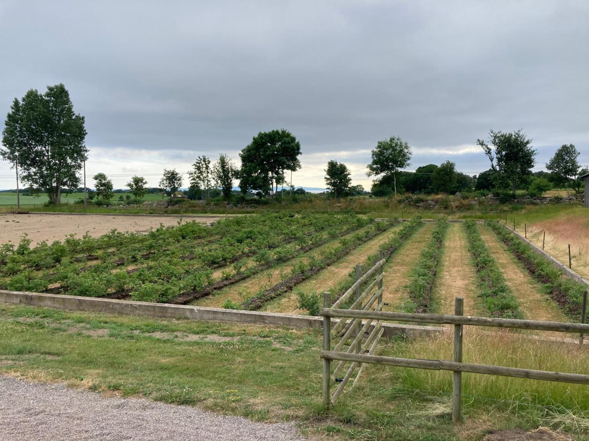 Fin lägenhet på Bjäre med nära till natur och nöje