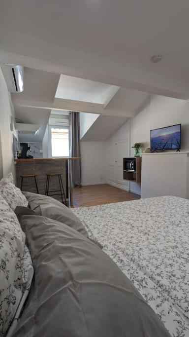 2e Grand Studio Agen Hyper Centre - Clim - Jacobins