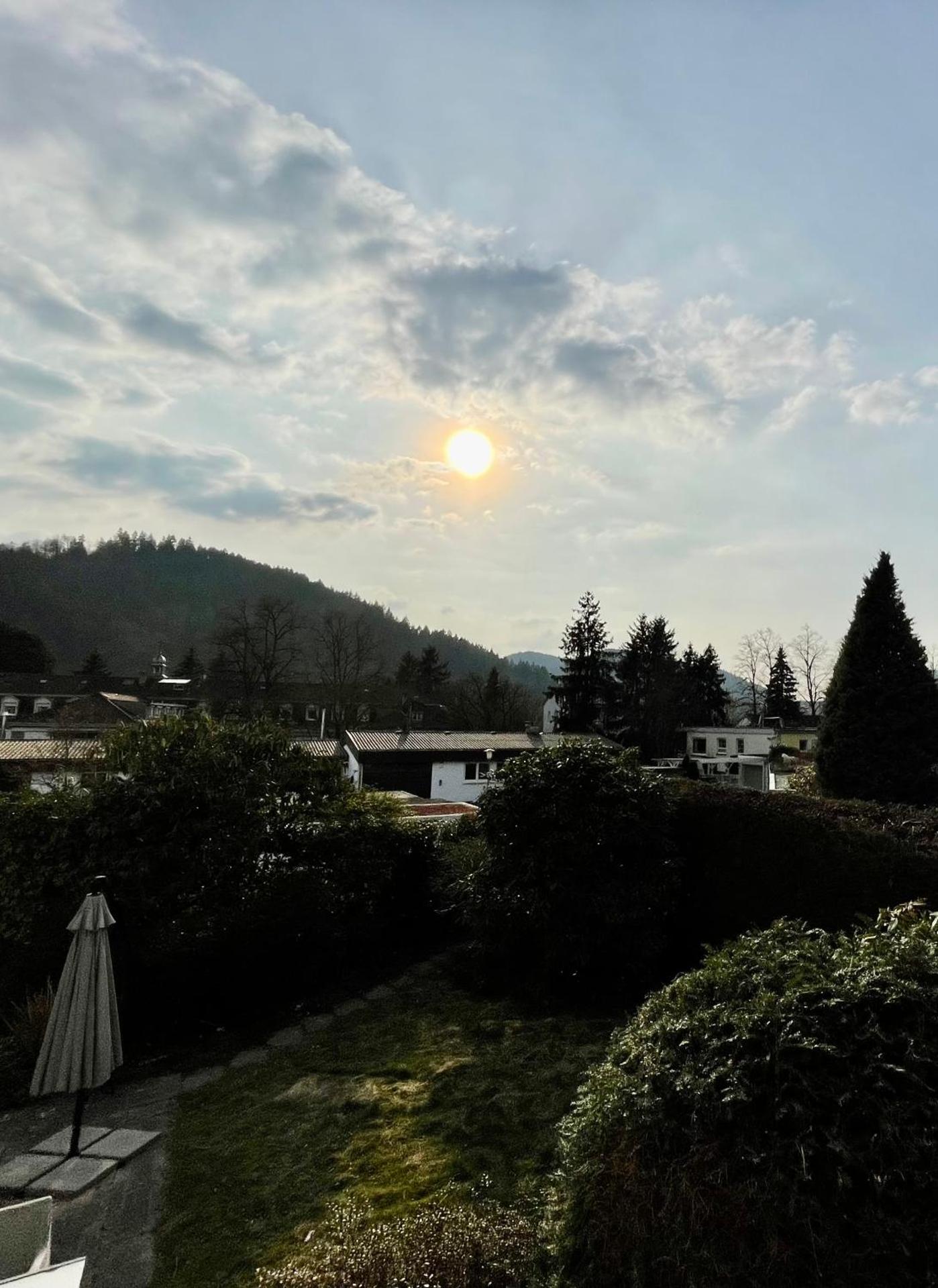 Eckberg Apartments - near City Centre & Nature