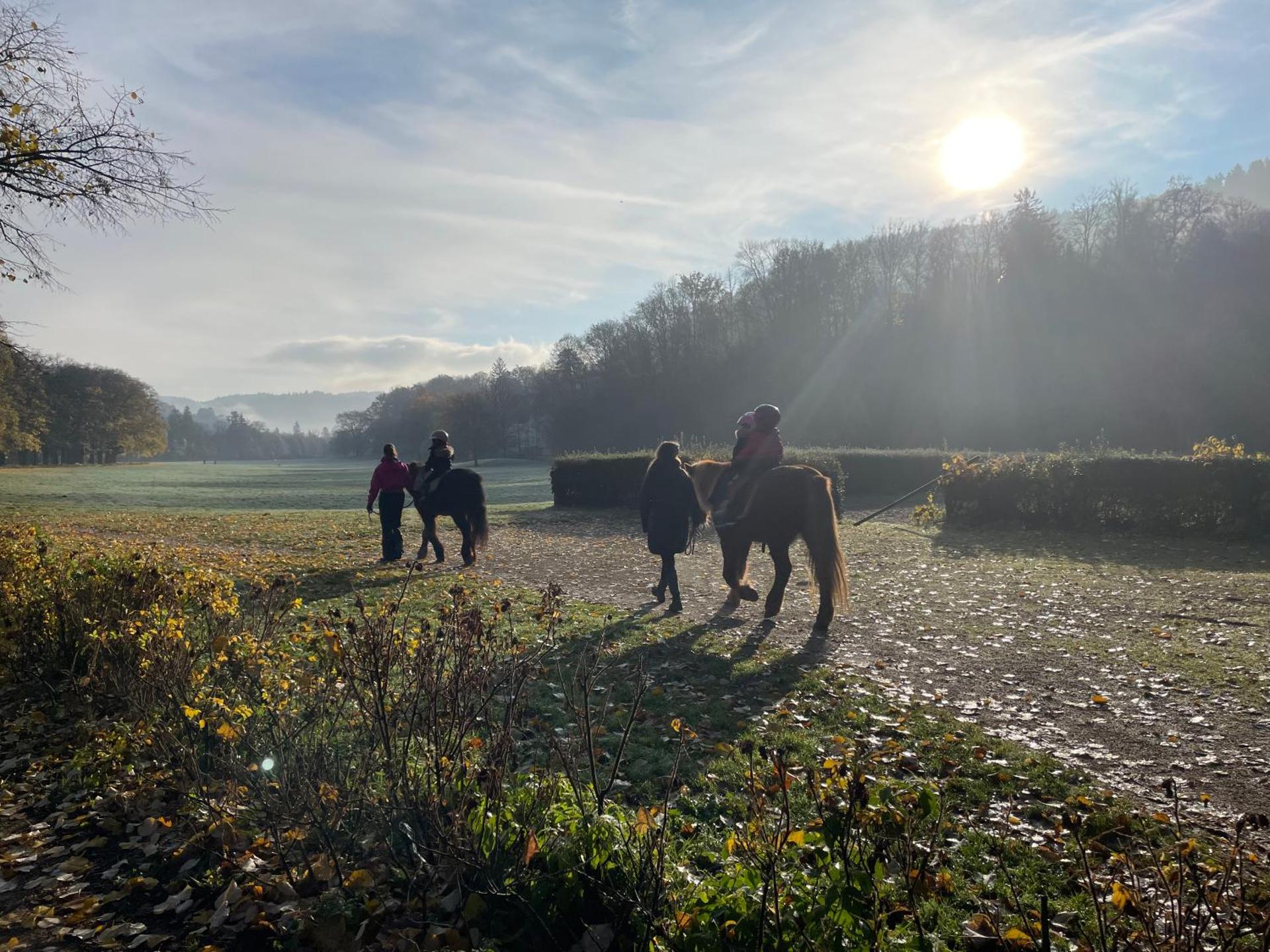 Eckberg Apartments - near City Centre & Nature