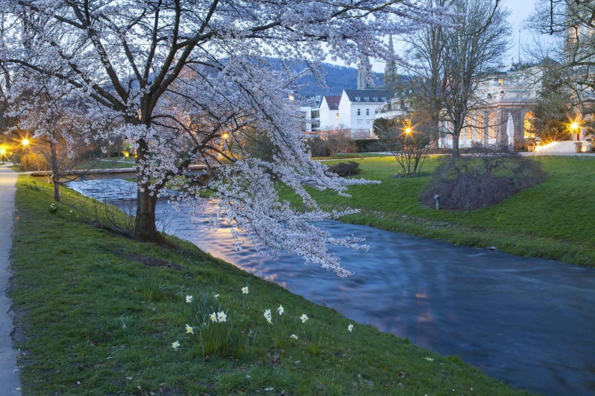 Eckberg Apartments - near City Centre & Nature