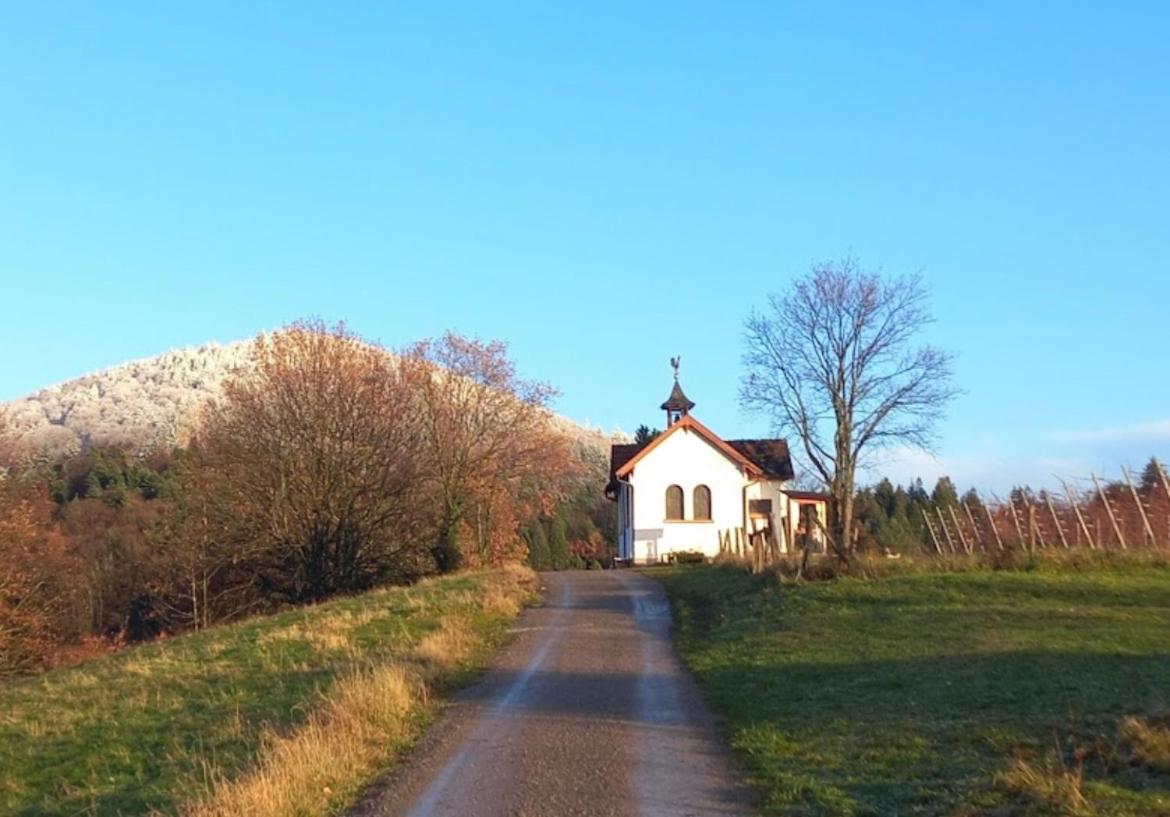 Eckberg Apartments - near City Centre & Nature