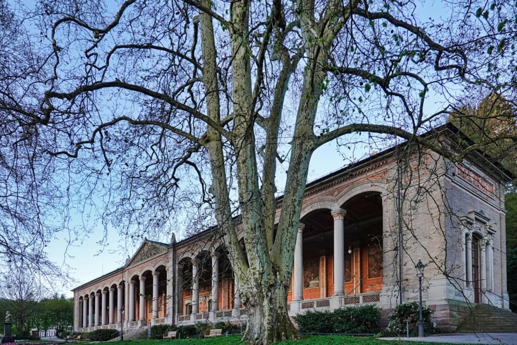 Eckberg Apartments - near City Centre & Nature