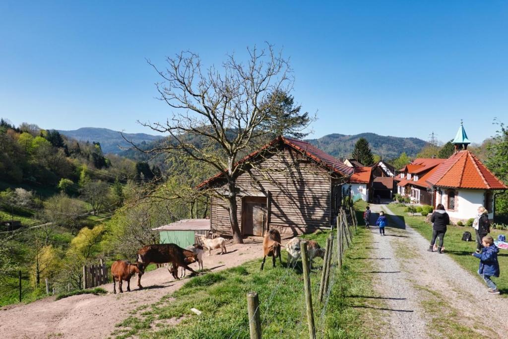 Eckberg Apartments - near City Centre & Nature