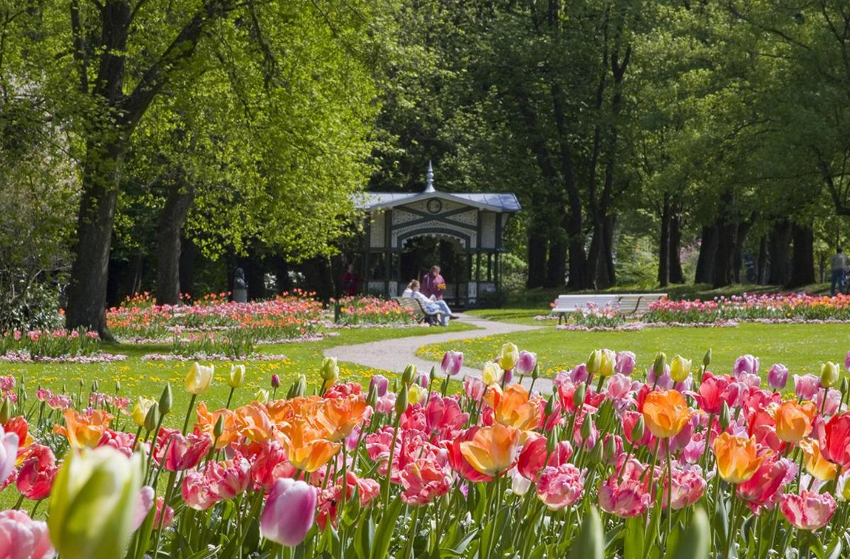 Eckberg Apartments - near City Centre & Nature