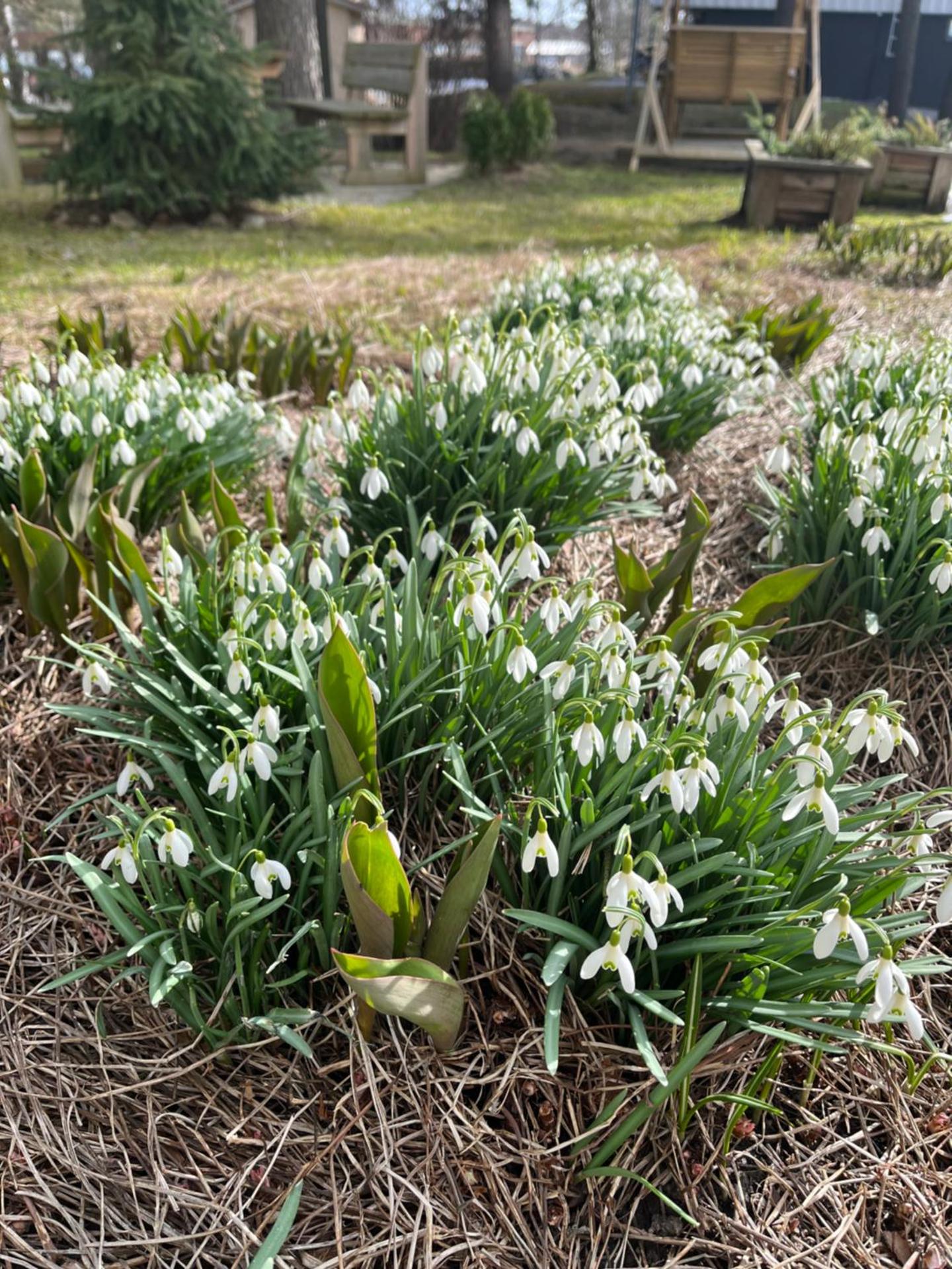 Compact apartment in Rauma