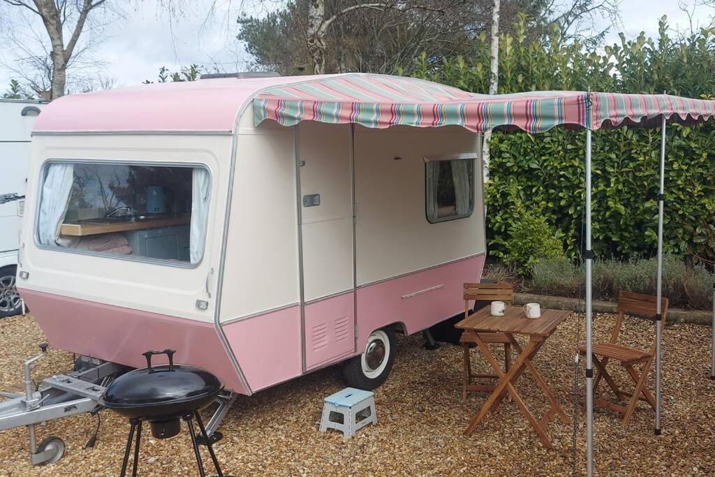 Molly The Vintage Caravan.